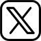 x icon
